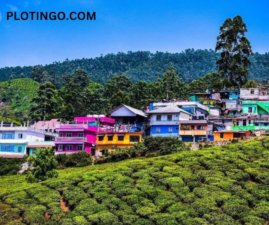 Property Dealer in Pushkar for Farm House | Buy Luxury Farm House Property – Plotingo